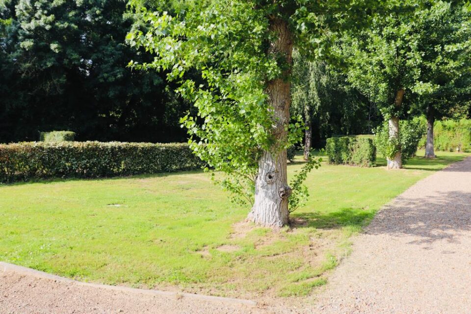 Emplacements pour vos vacances dans un camping 4 étoiles Vendée 1 IMG 20210610 WA0011