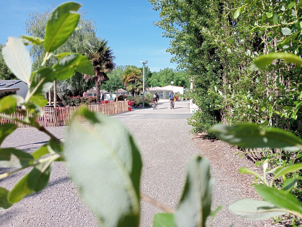 Camping familial en Vendée 3 IMG20240509102806 1